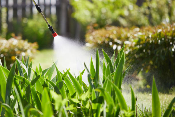 Tamper-Resistant Bait Stations for Rodents in Oshkosh
