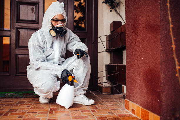 Attic and Crawl Space Rodent Treatment in Oshkosh