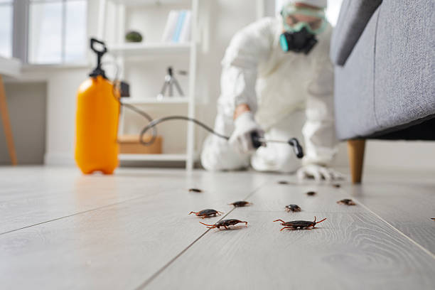 Commercial Rodent Management in Oshkosh